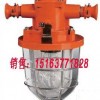 DGS60防爆白熾燈 