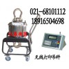 小量程吊鉤電子秤， 1噸小量程吊鉤電子秤，