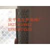做防彈衣用不銹鋼網(wǎng)、價(jià)格低質(zhì)量保證、不銹鋼網(wǎng)最新報(bào)價(jià)