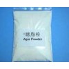 瓊脂粉，瓊脂粉價(jià)格，福建瓊脂粉泉州供應(yīng)商電話，瓊脂粉含量