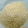 【耐今】供應(yīng)大蒜粉，大蒜粉最新報價