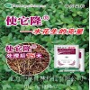 使它隆除草劑美國(guó)陶氏益農(nóng)出品水花生除草劑田旋花除草劑