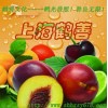 氨基葡萄糖廠家直銷，高含量.的價格醫藥級氨基葡萄糖