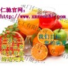 醋酸酯淀粉批發(fā)價格 醋酸酯淀粉使用說明 醋酸酯淀粉含量