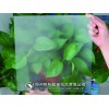 經(jīng)濟時尚型玻璃蒙砂粉