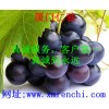 十二烷基禁發(fā) 硫酸鈉用途十二烷基禁發(fā) 硫酸鈉最新報價十二烷基禁發(fā) 硫酸鈉含量
