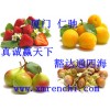 脫氫禁發(fā) 醋酸鈉供應(yīng)商電話 脫氫禁發(fā) 醋酸鈉最新報價 脫氫禁發(fā) 醋酸鈉含量