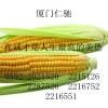 魚精蛋白禁發(fā) 硫酸鹽使用說明 魚精蛋白禁發(fā) 硫酸鹽中國馳名商標