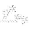 供應(yīng)西紅花苷  藏紅花素  42553-65-1
