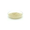 神經(jīng)酰胺III 神經(jīng)酰胺3 Ceramide