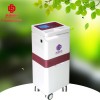 低頻產(chǎn)后治療儀工作原理